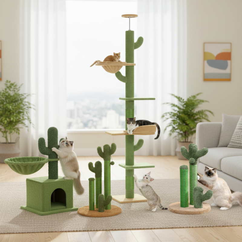 Arbres à chat cactus