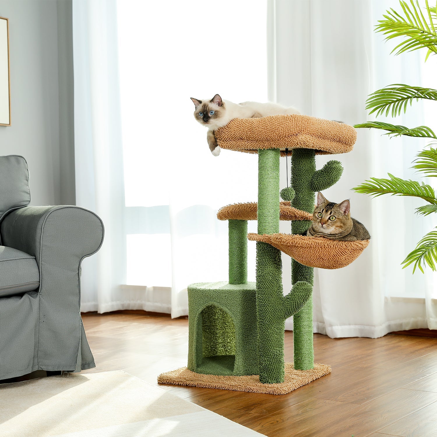 Arbre à chat en forme de cactus avec niche et plateformes – Modèle Cactus Home