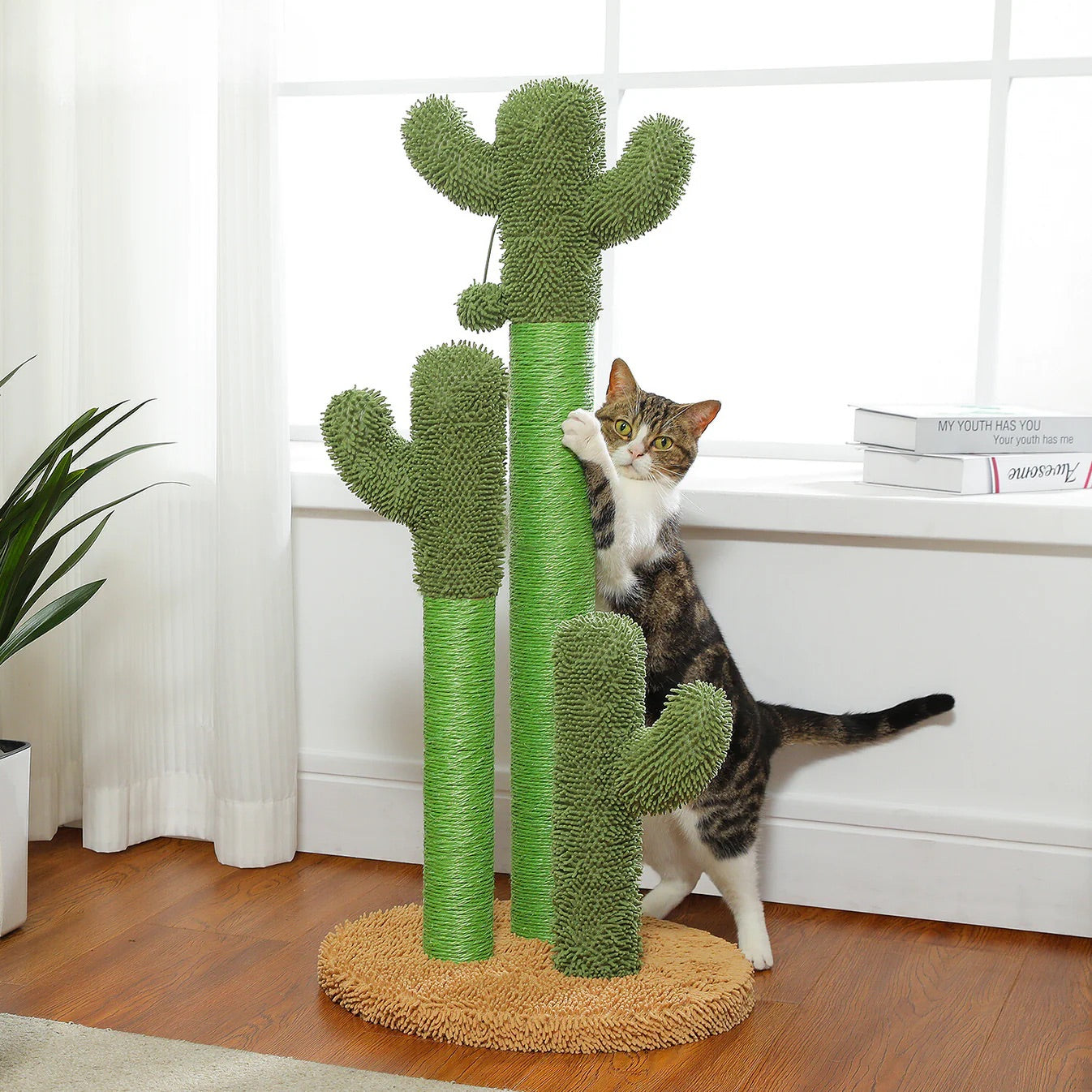 Griffoir pour chat en forme de cactus