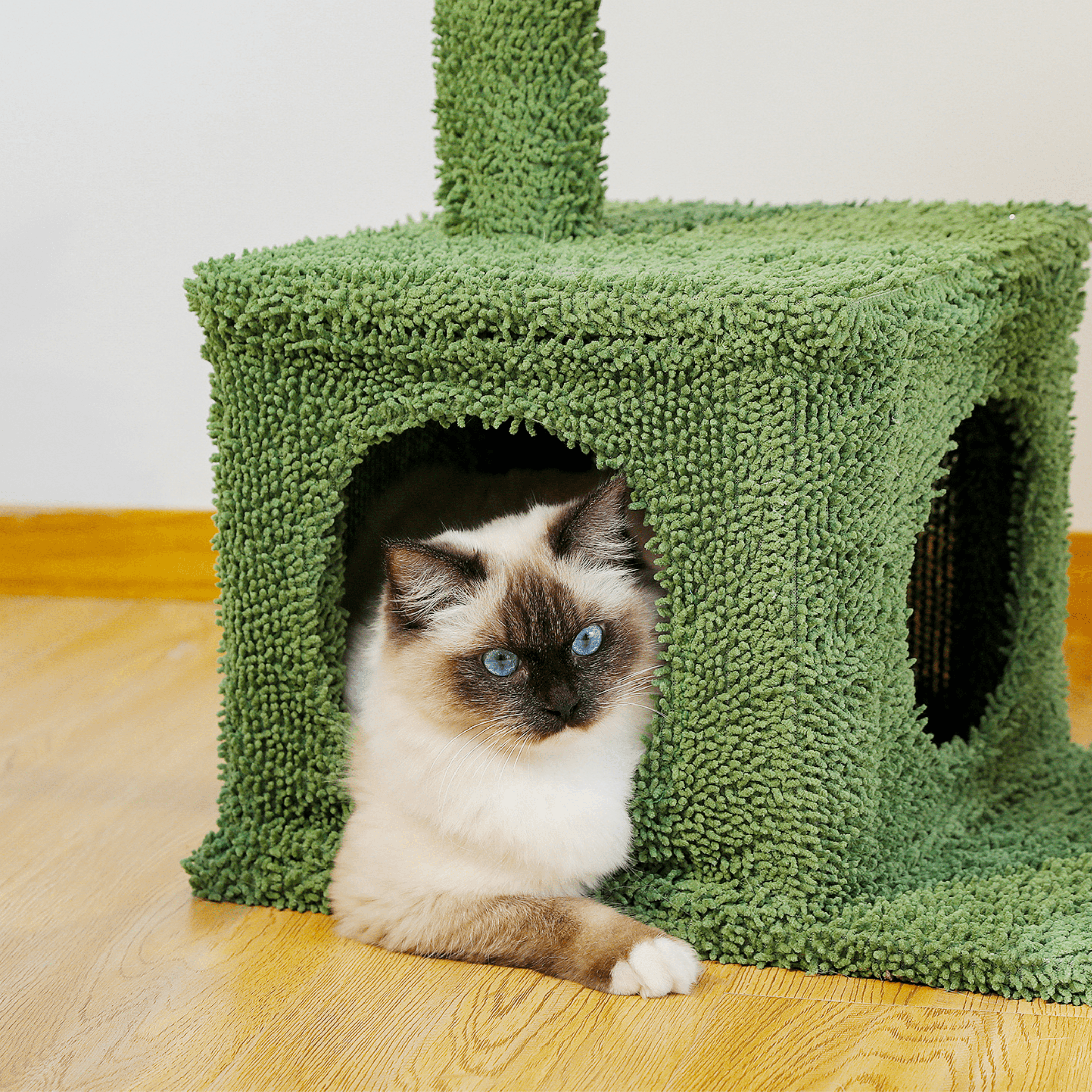 Arbre à chat en forme de cactus avec niche et hamac – Modèle Cactus Lounge