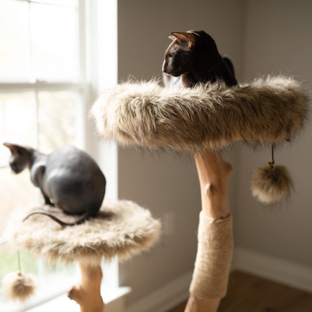 Arbre à chat en bois naturel avec niche et perchoirs rembourrés – Modèle Alba