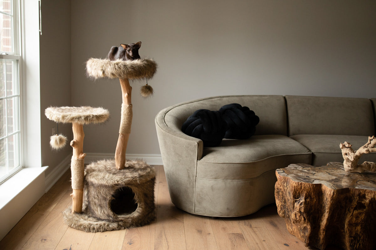 Arbre à chat en bois naturel avec niche et perchoirs rembourrés – Modèle Alba
