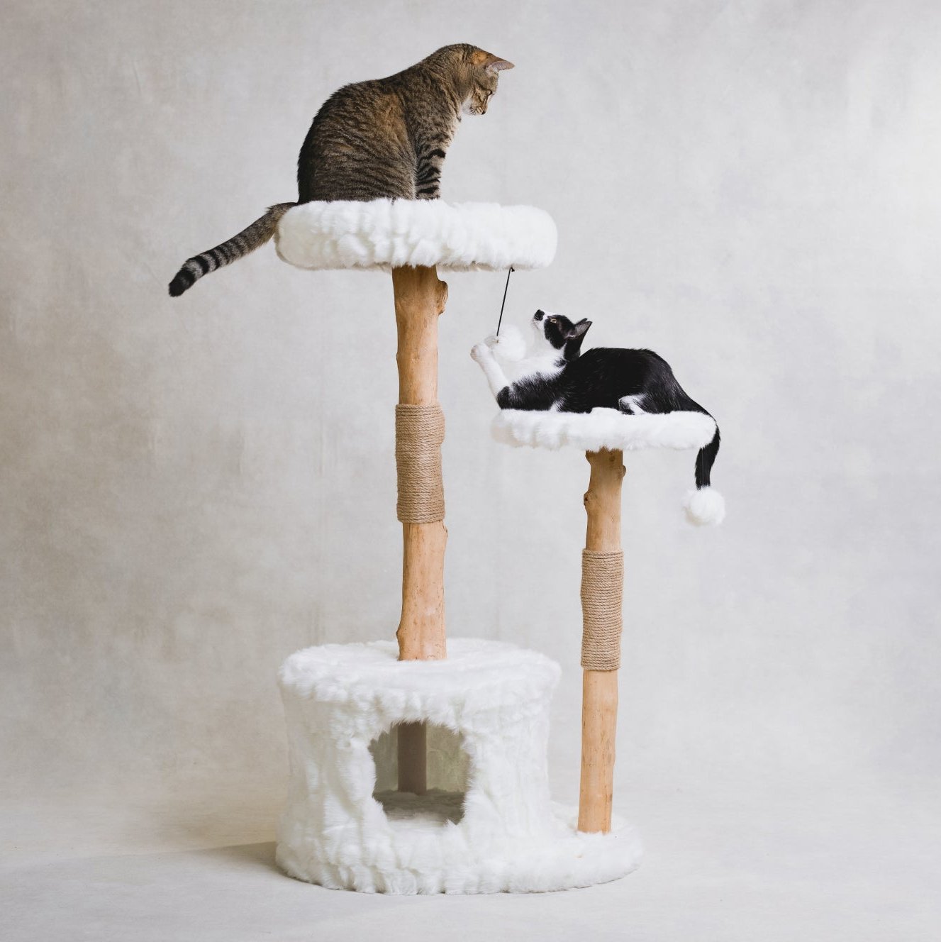 Arbre à chat en bois naturel avec niche et perchoirs rembourrés – Modèle Alba