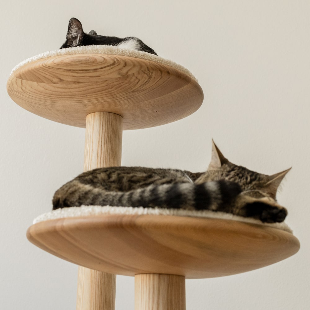 Arbre à chat en bois de frêne avec perchoirs et niche rembourrée – Modèle Bao