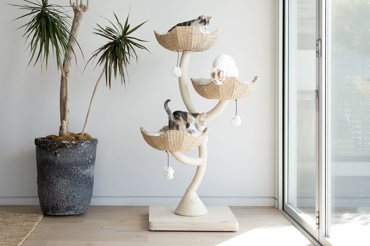 Arbre à chat design en bois avec paniers superposés et coussins – Modèle Ivy