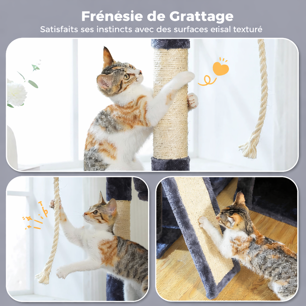 Arbre à chat tour 5 niveaux