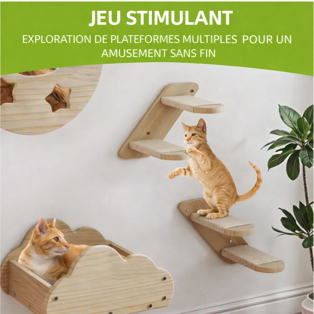 Mur d’escalade mural pour chat 6 pièces