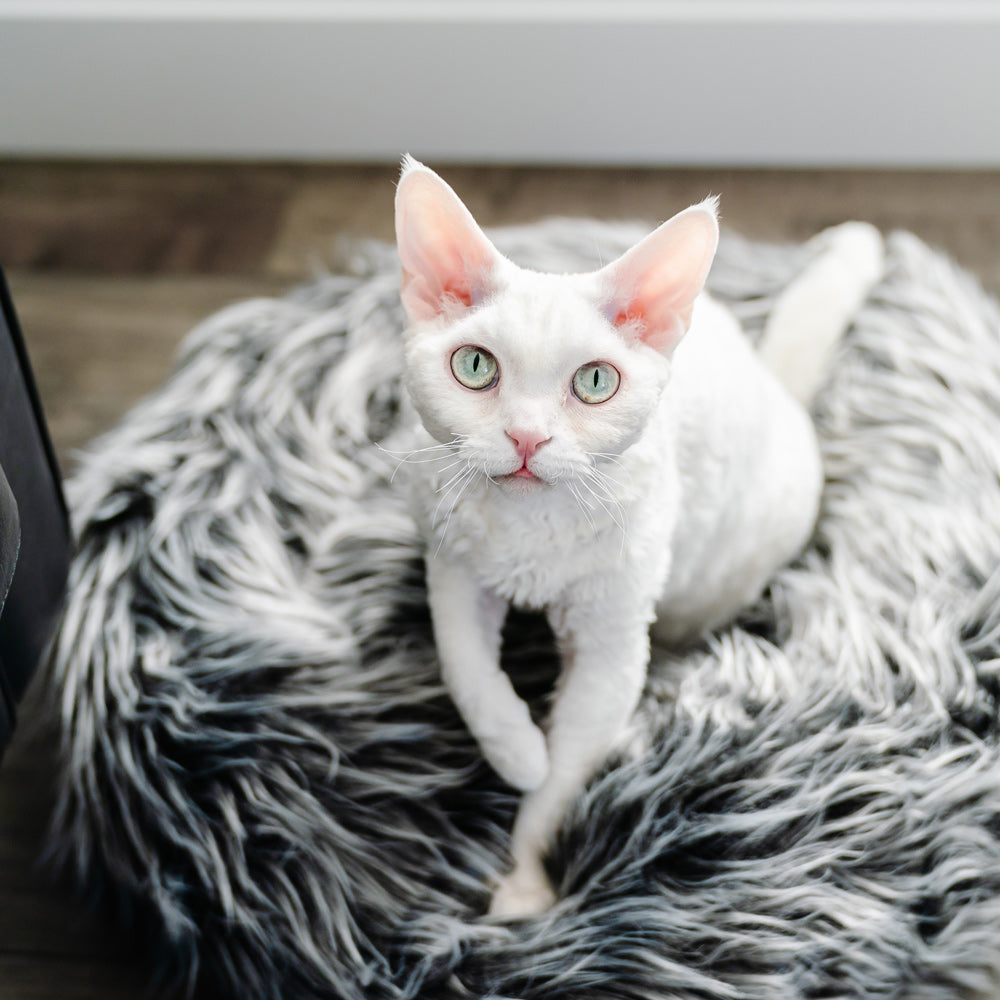 Lit pour chien et chat en fausse fourrure avec coussin amovible – Modèle Fluffi