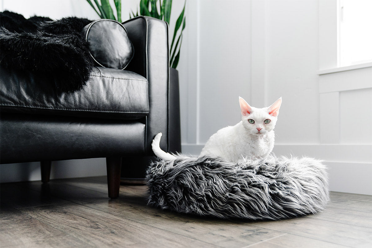 Lit pour chien et chat en fausse fourrure avec coussin amovible – Modèle Fluffi