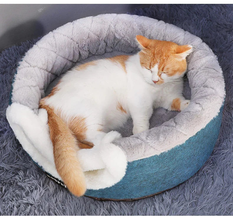 Lit pour chat 2-en-1 doux et chaud – Confort optimal et design moderne