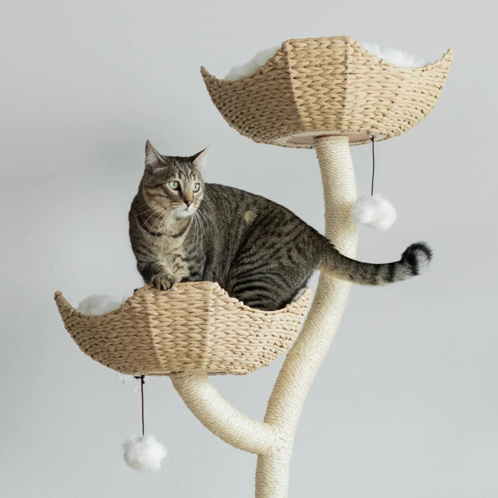 Arbre à chat en bois naturel avec paniers superposés et coussins amovibles – Modèle Ivy 2