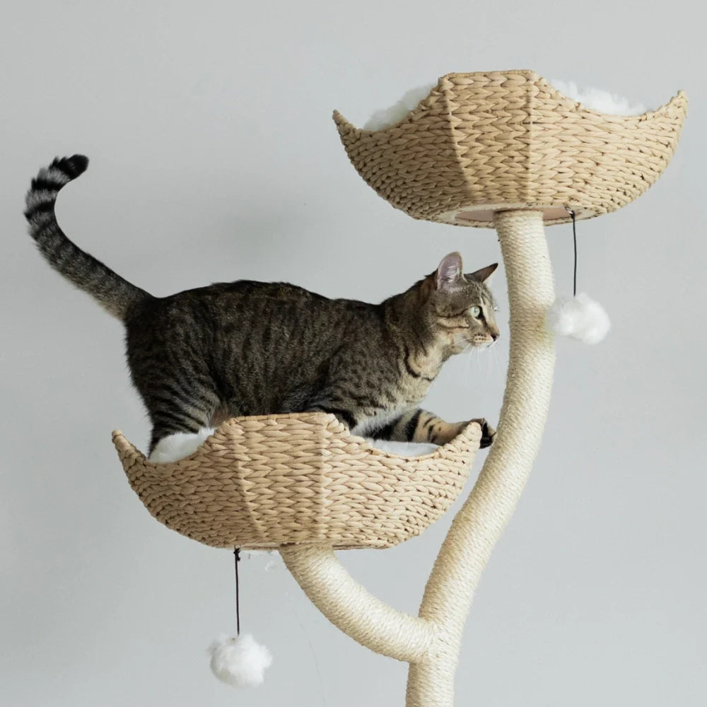 Arbre à chat en bois naturel avec paniers superposés et coussins amovibles – Modèle Ivy 2