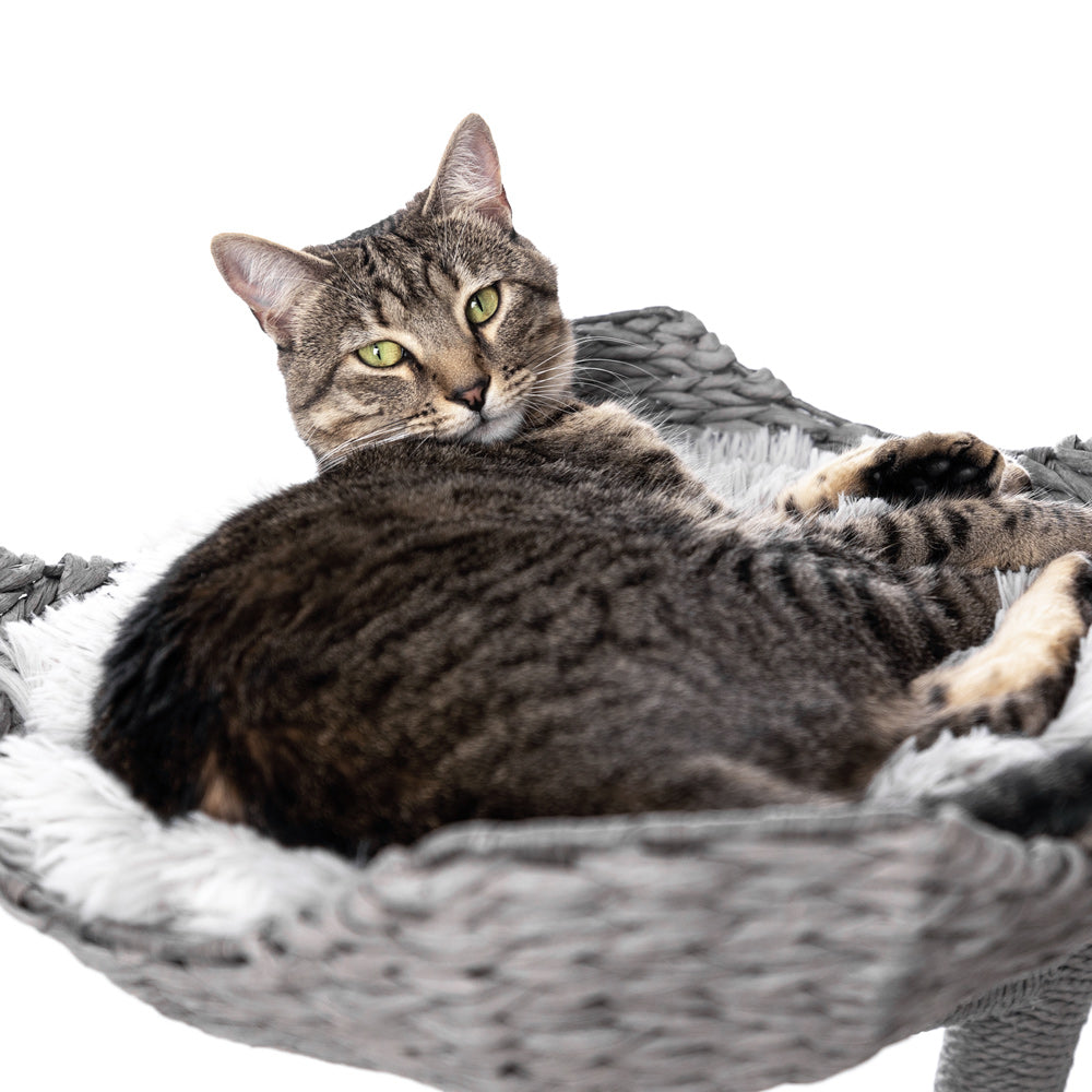 Arbre à chat en bois naturel avec paniers superposés et coussins amovibles – Modèle Ivy 2