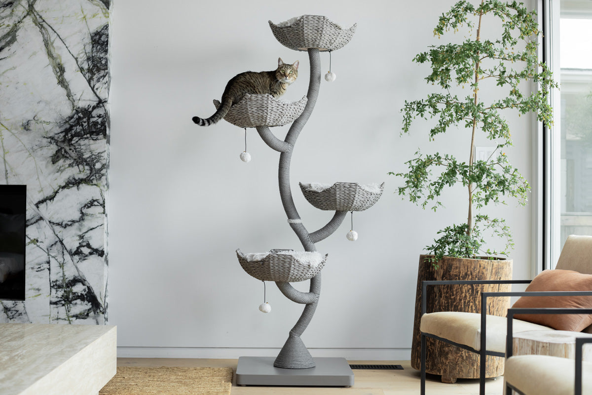 Arbre à chat en bois naturel avec paniers superposés et coussins amovibles – Modèle Ivy 2