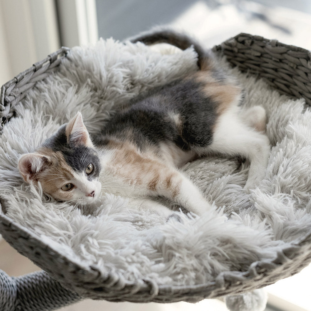 Arbre à chat design en bois avec paniers superposés et coussins – Modèle Ivy