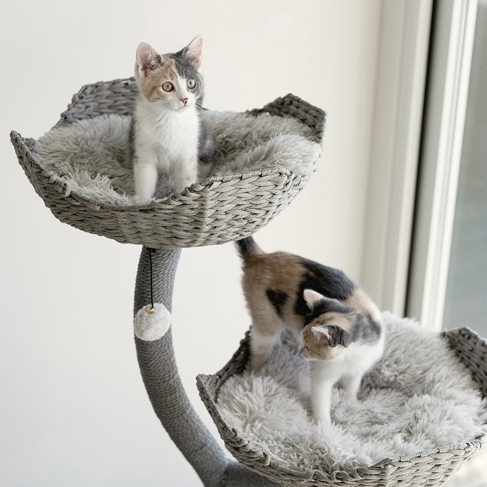 Arbre à chat design en bois avec paniers superposés et coussins – Modèle Ivy