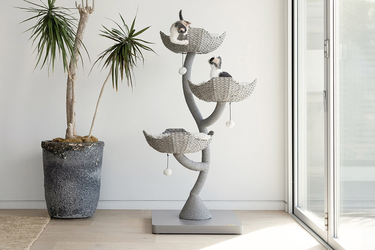 Arbre à chat design en bois avec paniers superposés et coussins – Modèle Ivy