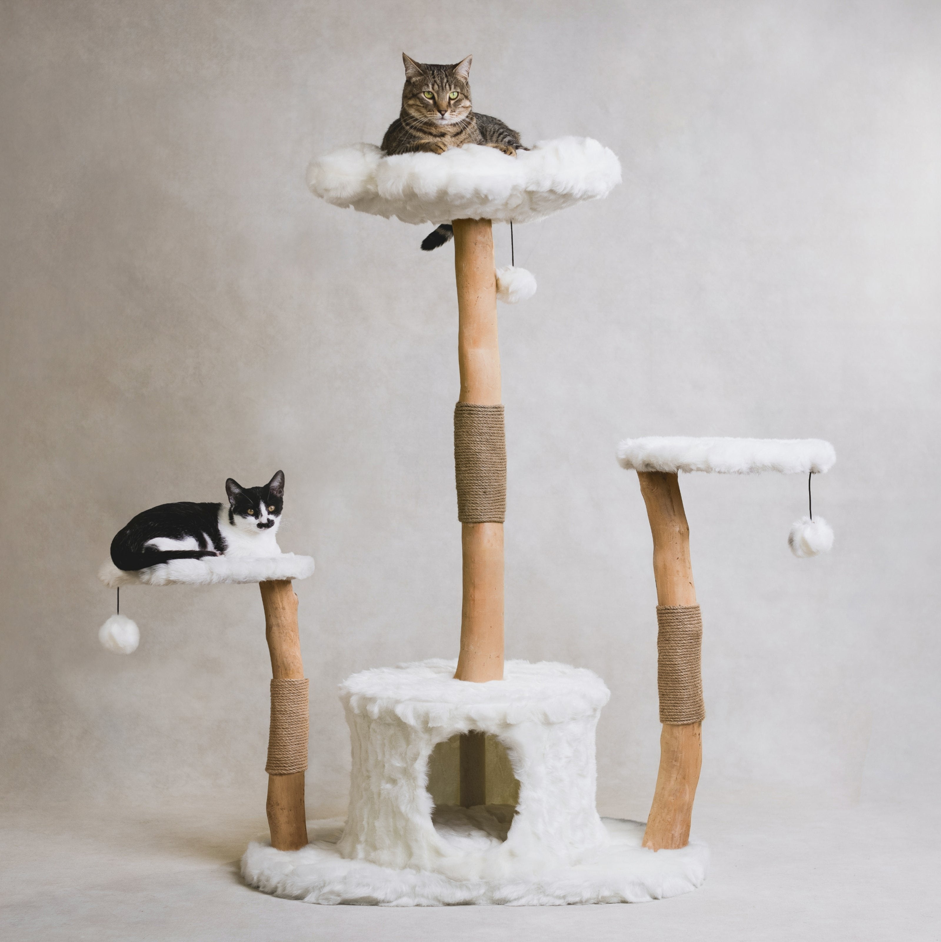 Arbre à chat grand format en bois naturel avec niche et plateformes – Modèle Leone