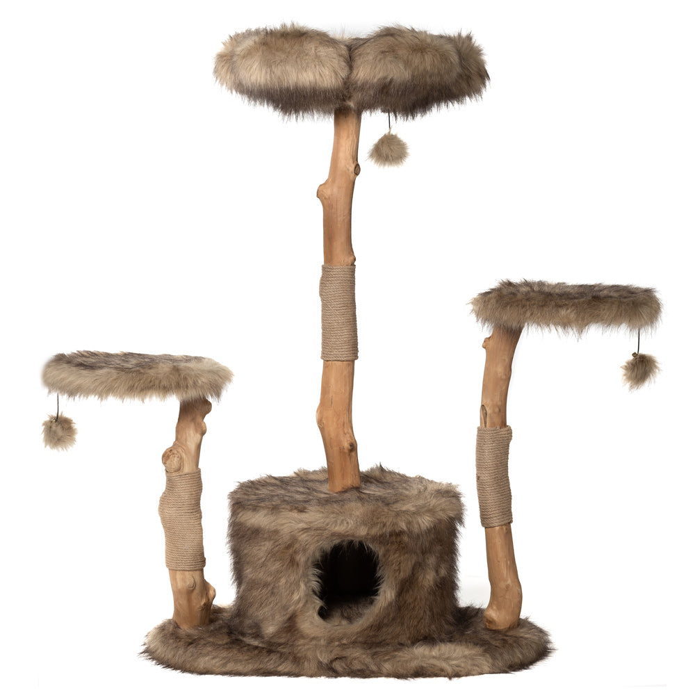 Arbre à chat grand format en bois naturel avec niche et plateformes – Modèle Leone