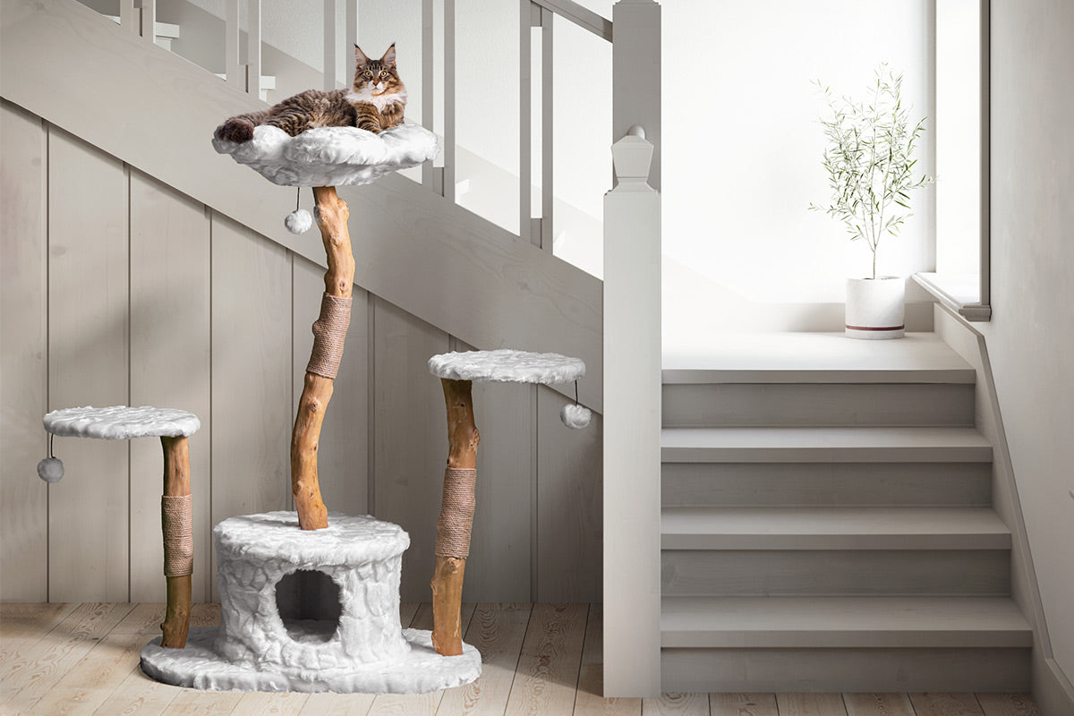 Arbre à chat grand format en bois naturel avec niche et plateformes – Modèle Leone