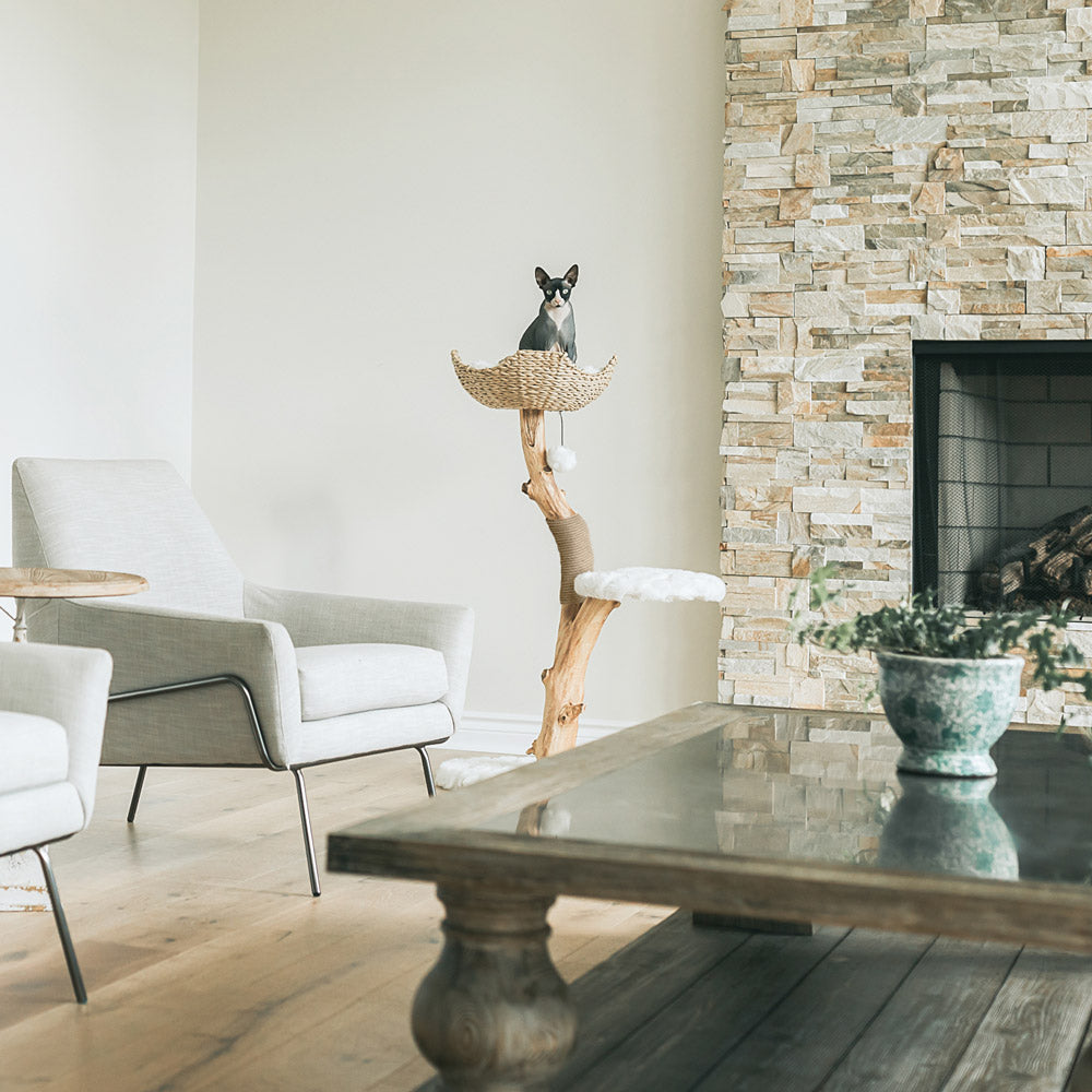 Arbre à chat en bois naturel avec panier tressé et griffoir – Modèle Uni