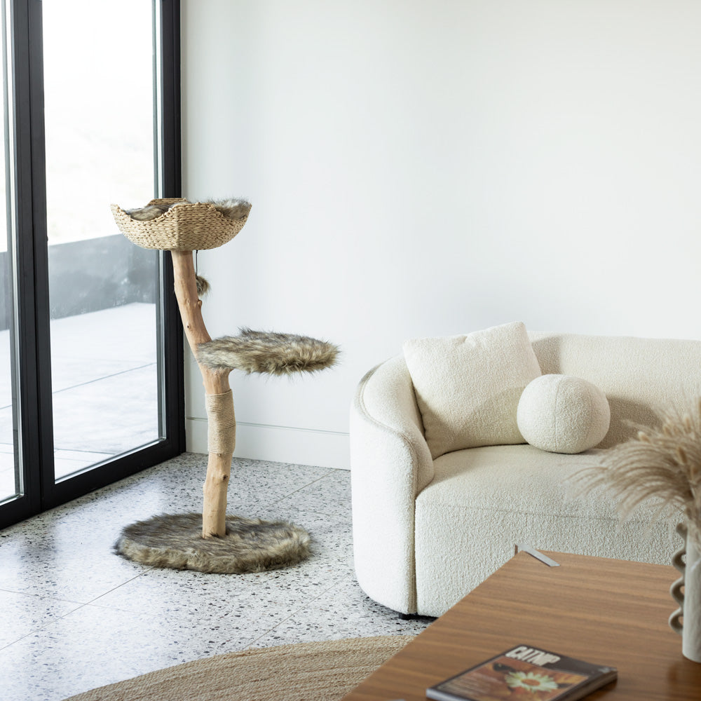 Arbre à chat en bois naturel avec panier tressé et griffoir – Modèle Uni