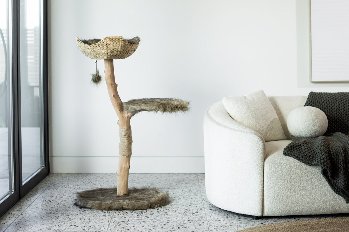 Arbre à chat en bois naturel avec panier tressé et griffoir – Modèle Uni