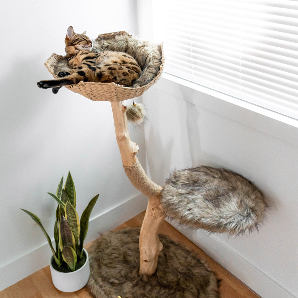 Arbre à chat en bois naturel avec panier tressé et griffoir – Modèle Uni