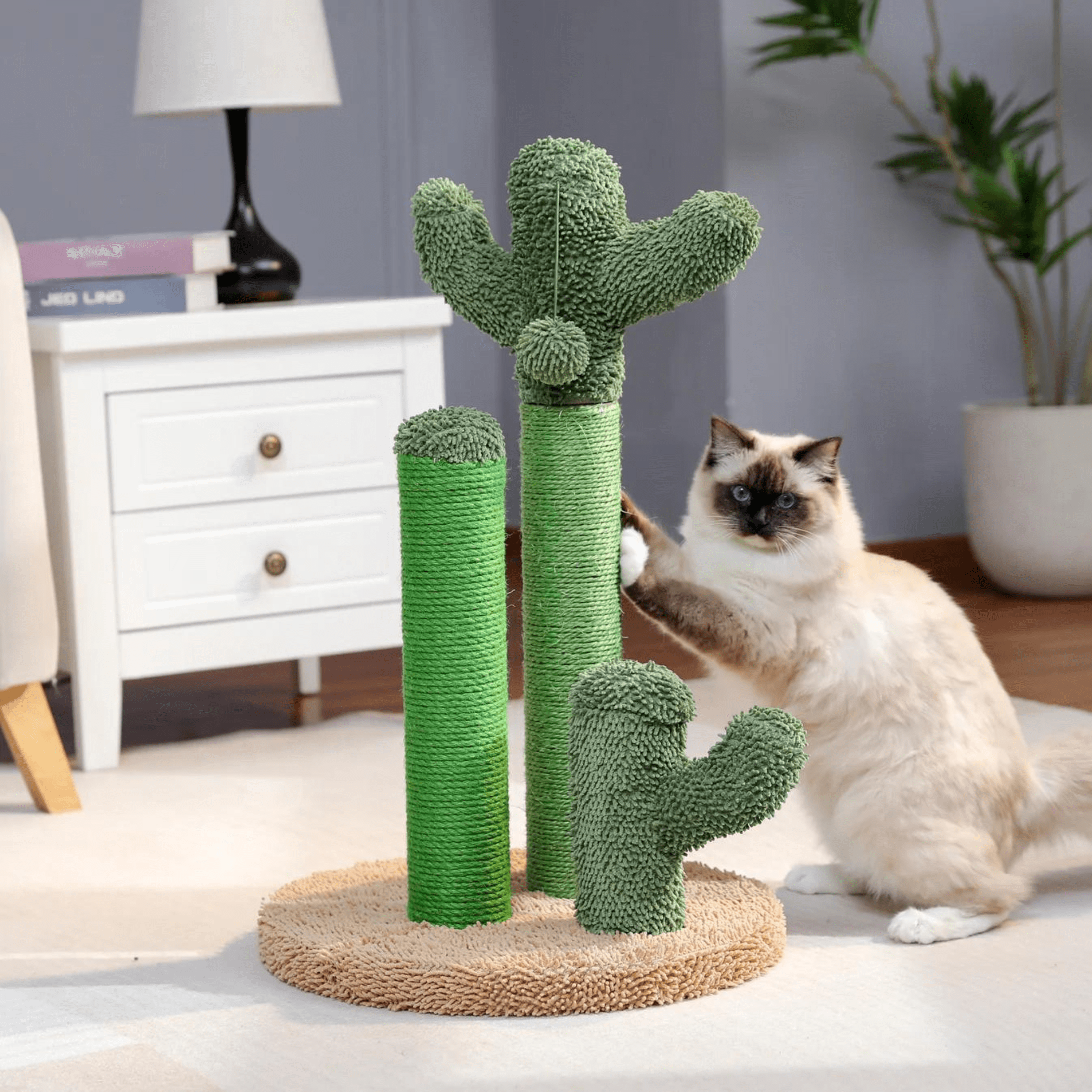 Griffoir pour chat en forme de cactus