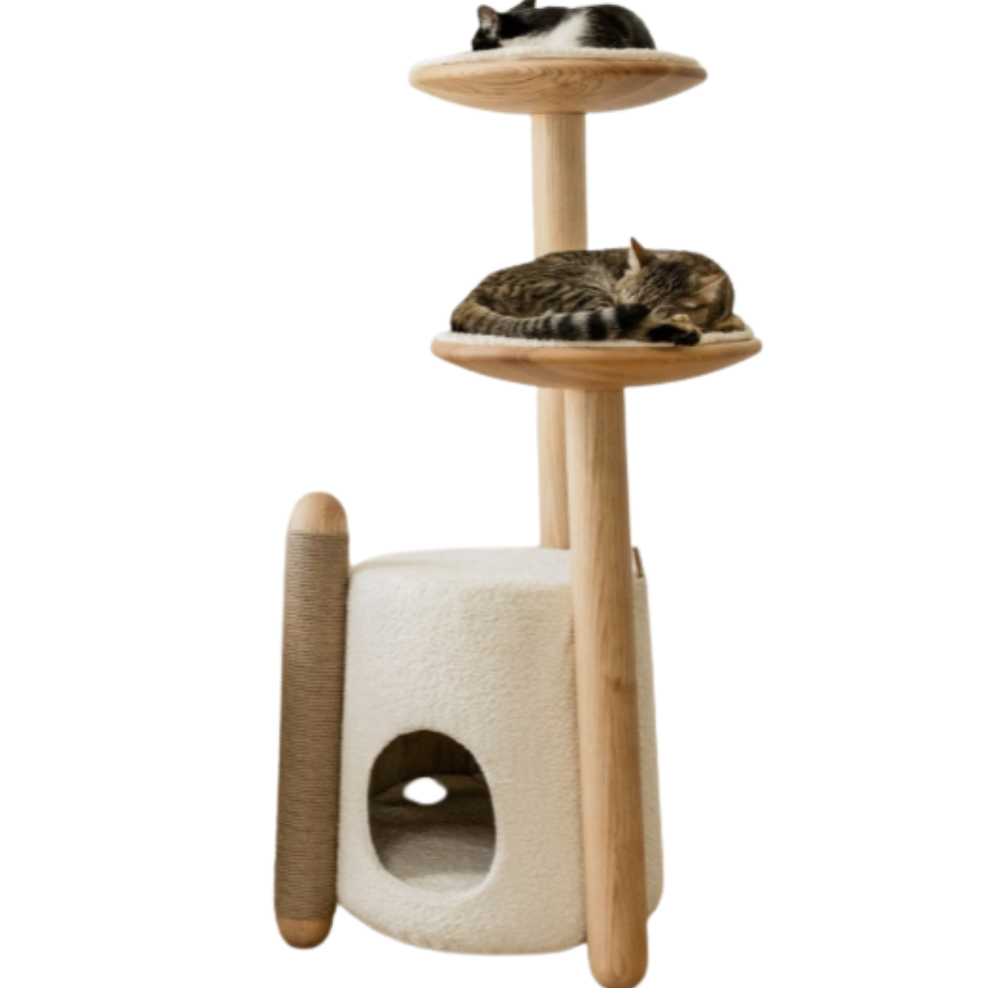 Arbre à chat en bois de frêne avec perchoirs et niche rembourrée – Modèle Bao