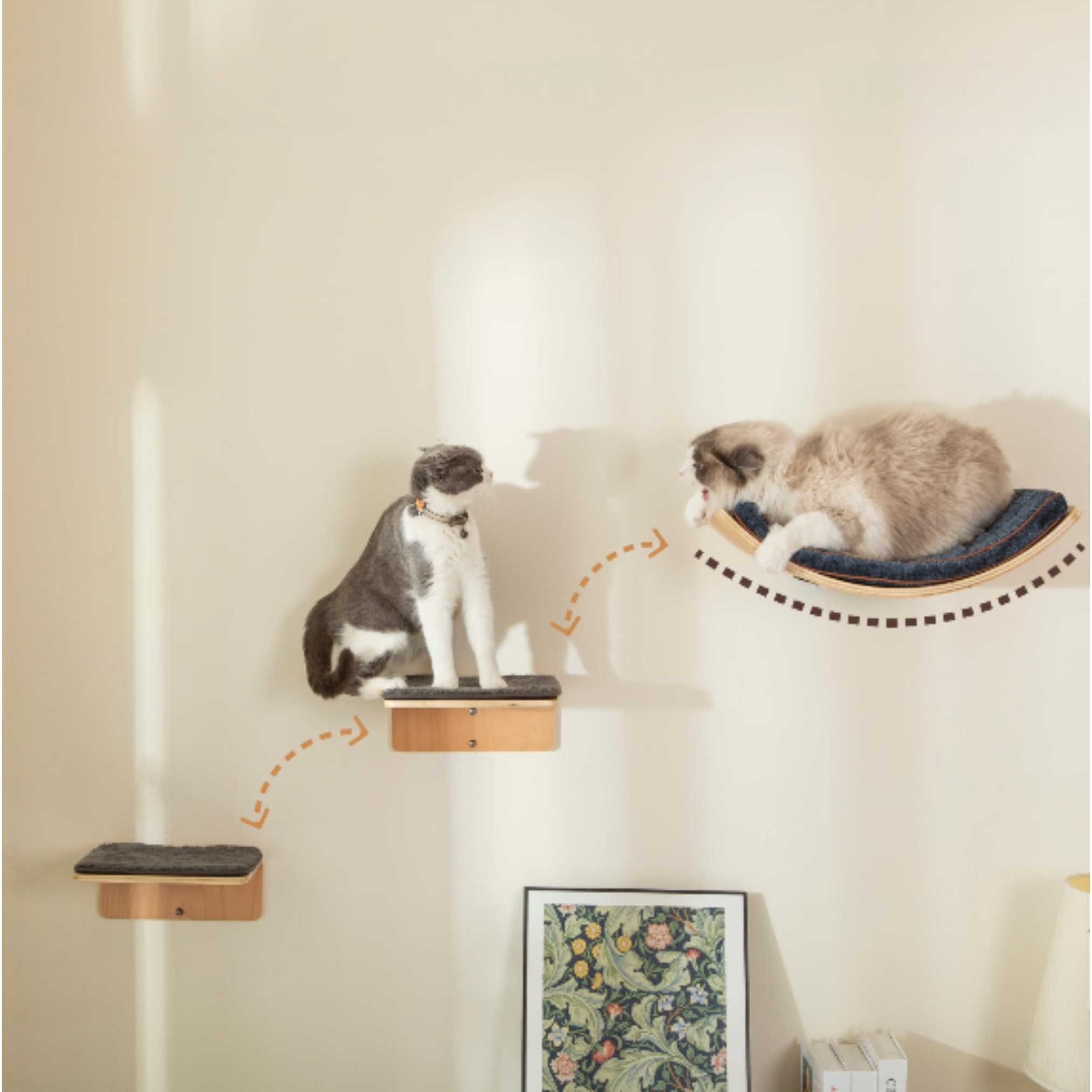 Ensemble mural pour chat avec étagère incurvée et marches