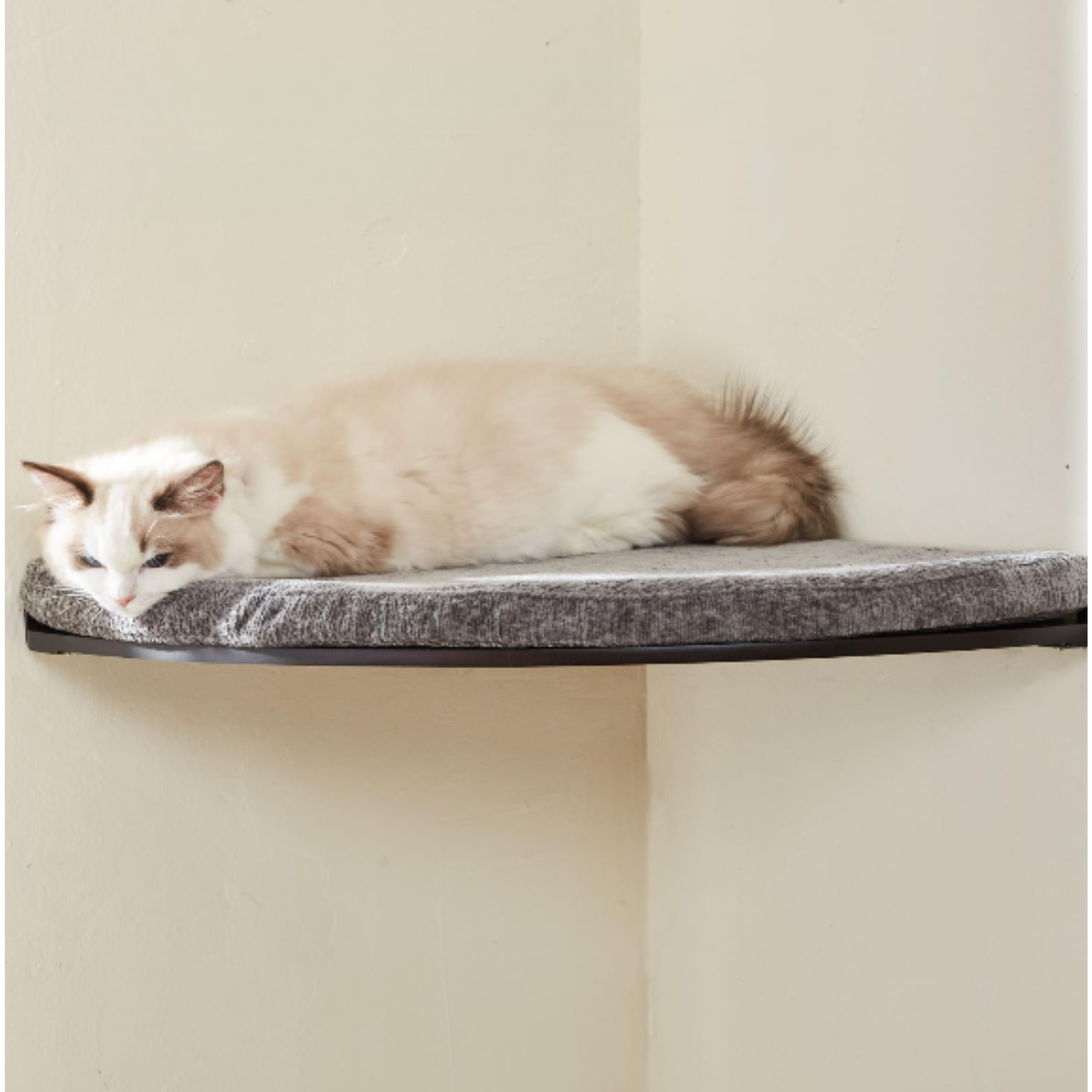 Étagère murale d’angle pour chat avec coussin amovible