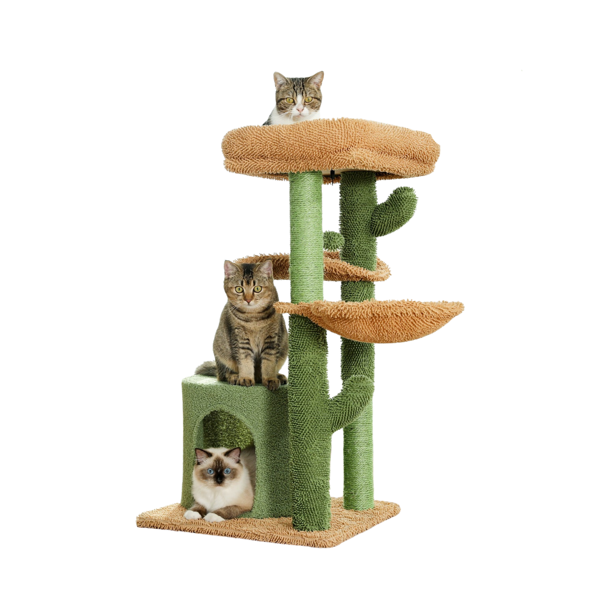 Arbre à chat en forme de cactus avec niche et plateformes – Modèle Cactus Home