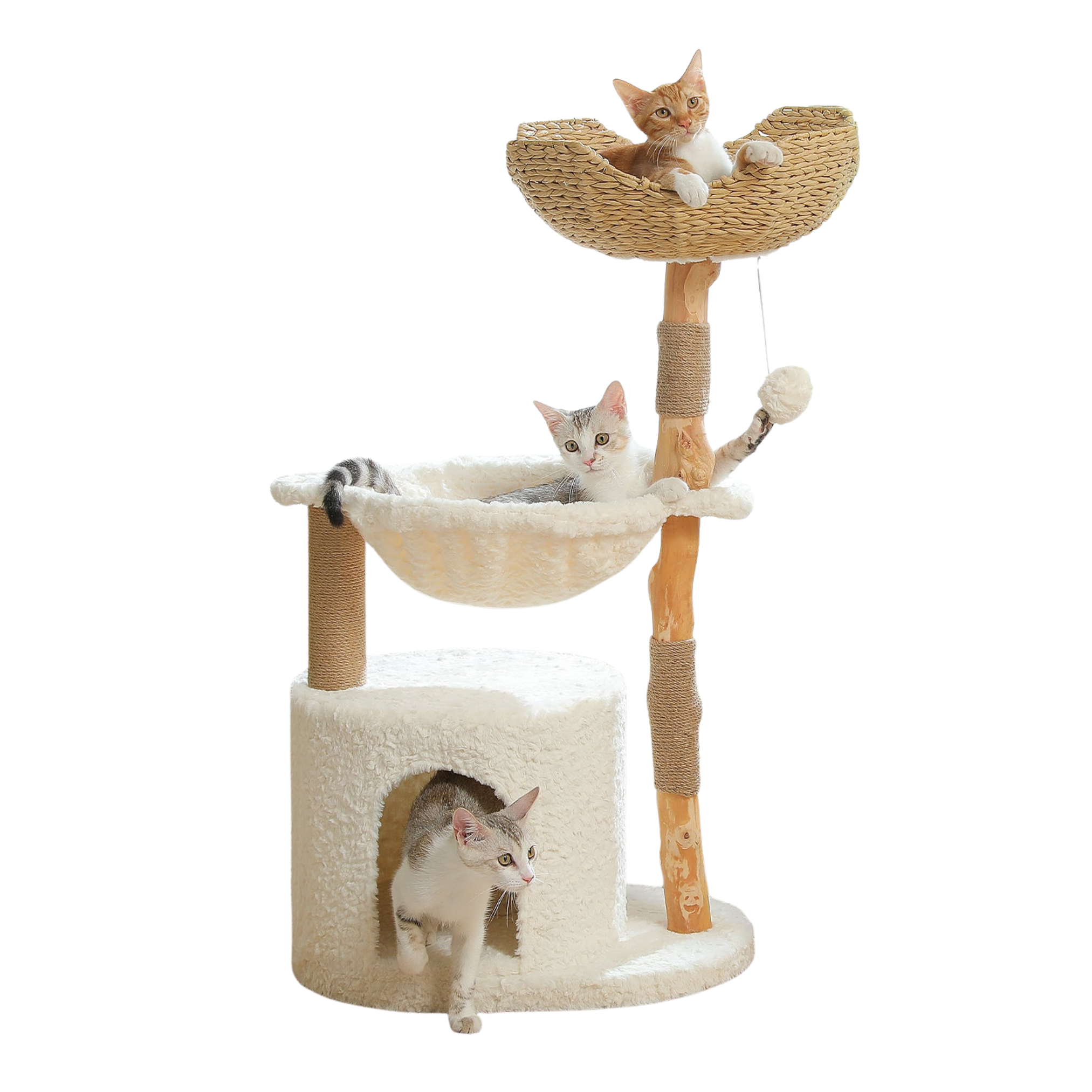 Arbre à chat design en bois naturel avec panier tressé et hamac – Modèle Willow Haven