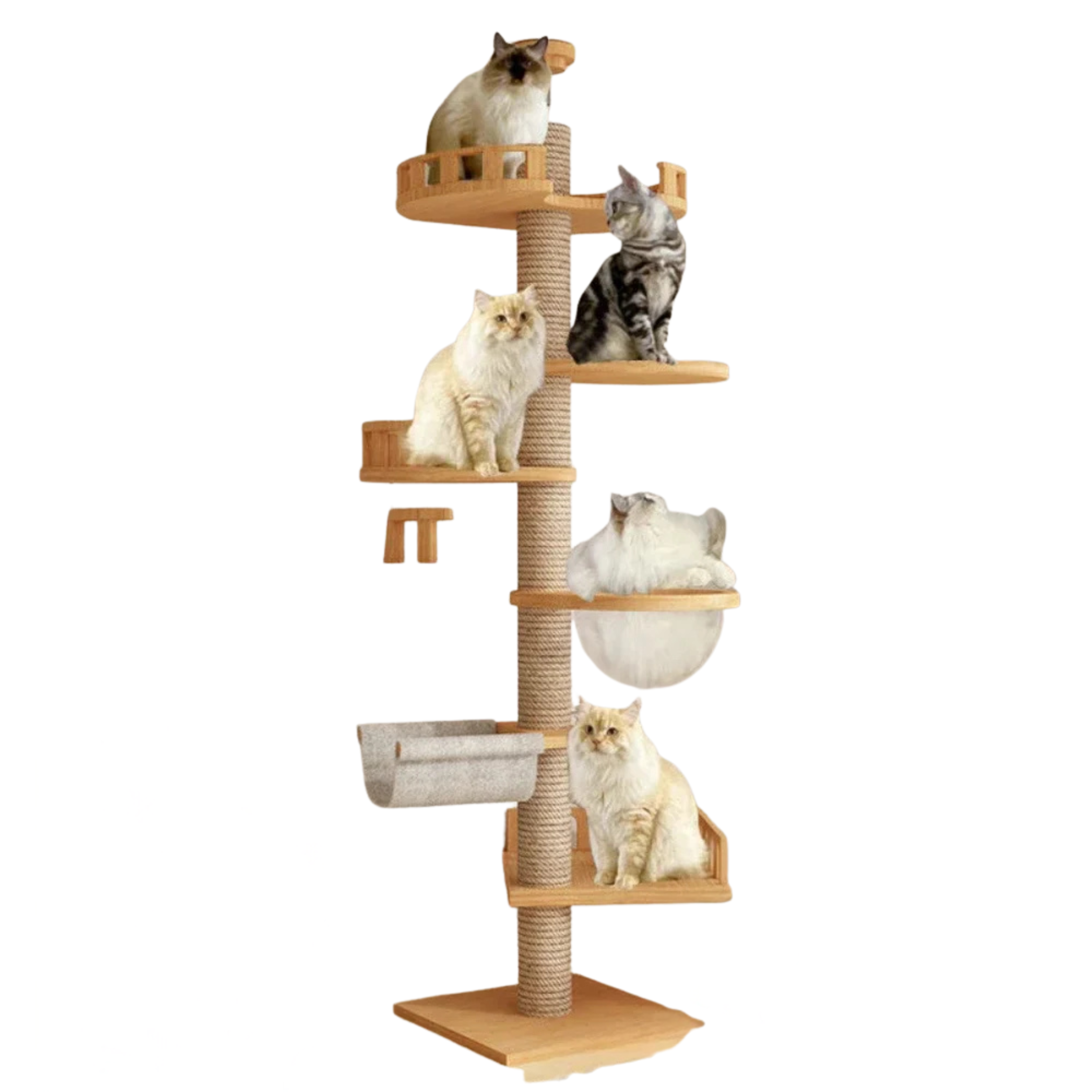 Arbre à chat mural en bois – Design naturel et multi-niveaux