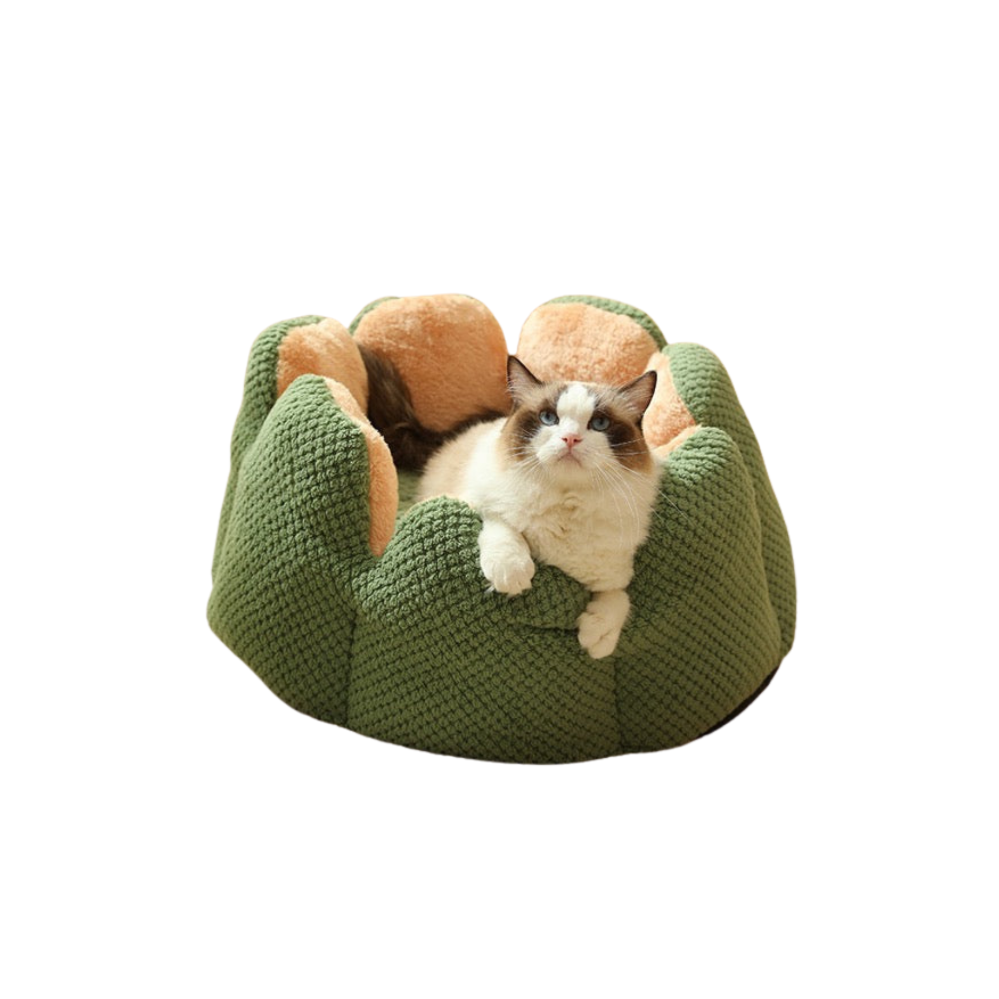 Lit pour chat en forme de fleur – Modèle Flower Bed