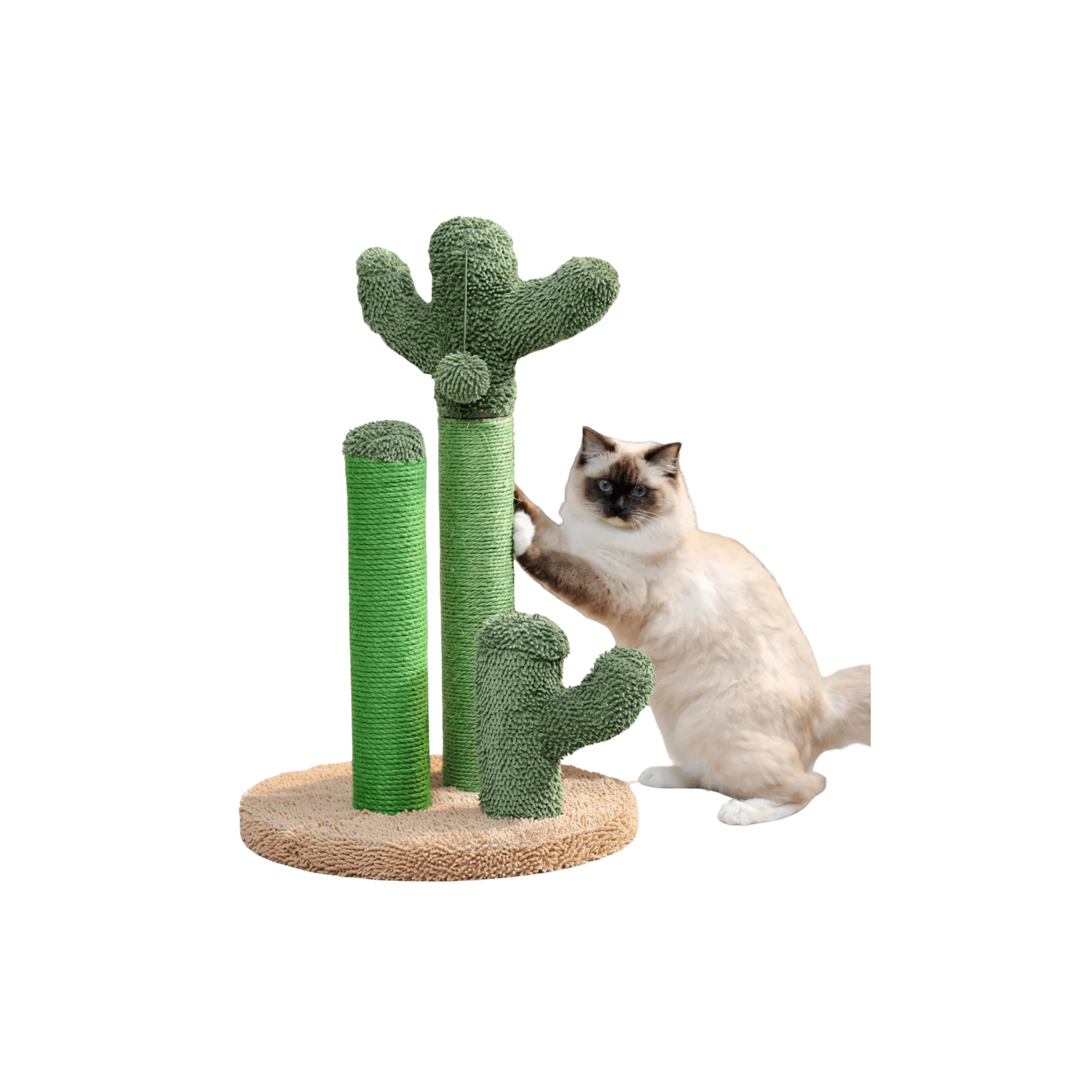 Griffoir pour chat en forme de cactus