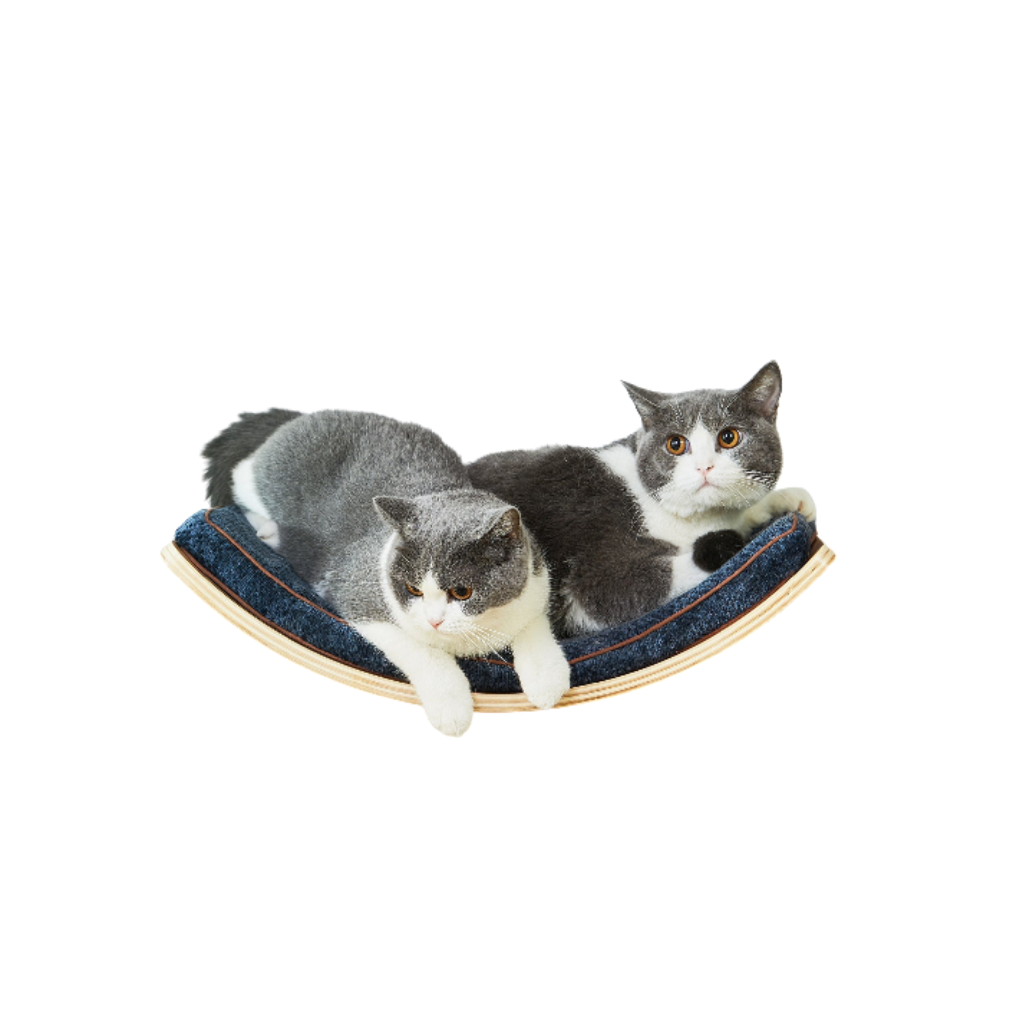 Étagère murale pour chat avec coussin amovible