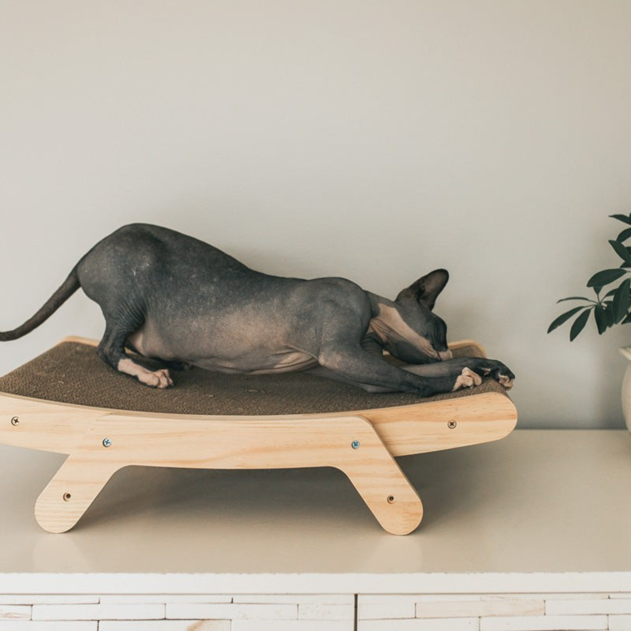 Griffoir pour chat avec cadre en bois – Modèle Emory