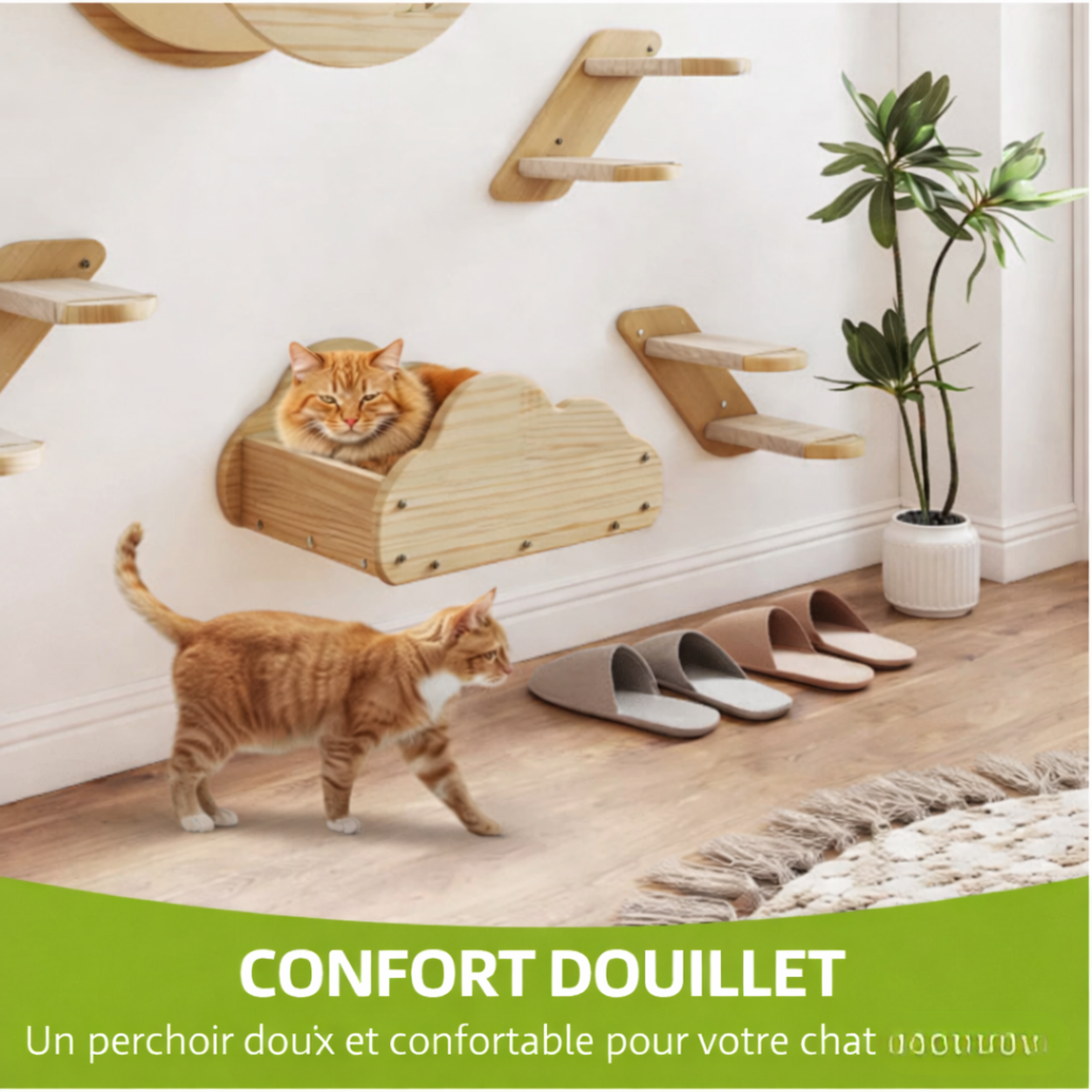 Mur d’escalade mural pour chat 6 pièces