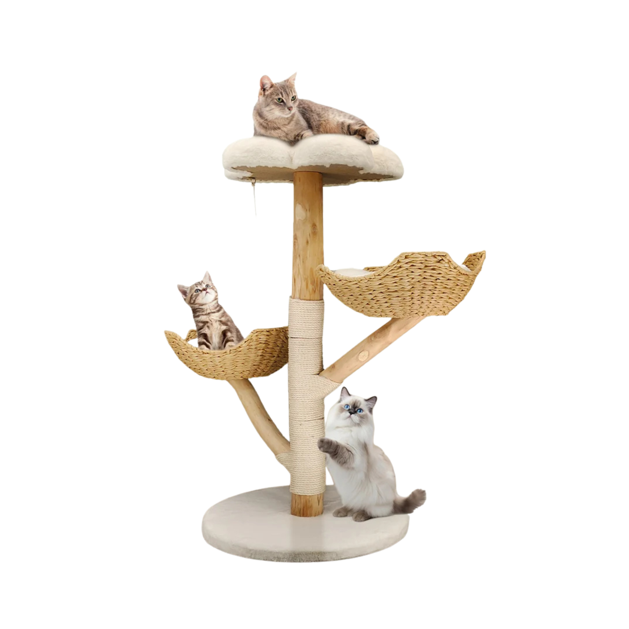 Arbre à chat design en bois naturel