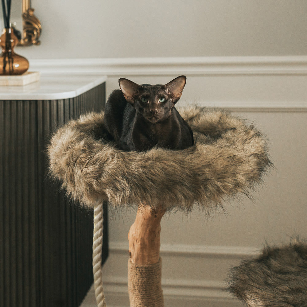 Arbre à chat en bois naturel avec lits superposés et griffoirs – Modèle Rizzo