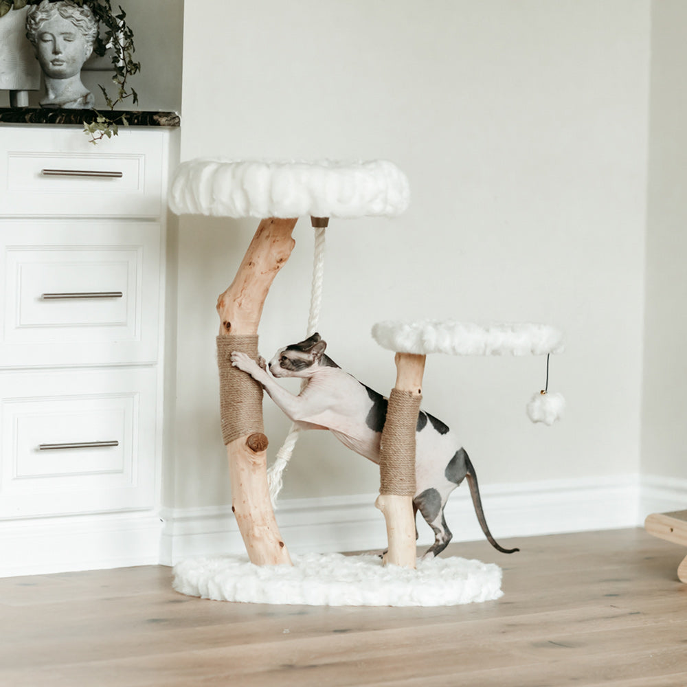 Arbre à chat en bois naturel avec lits superposés et griffoirs – Modèle Rizzo