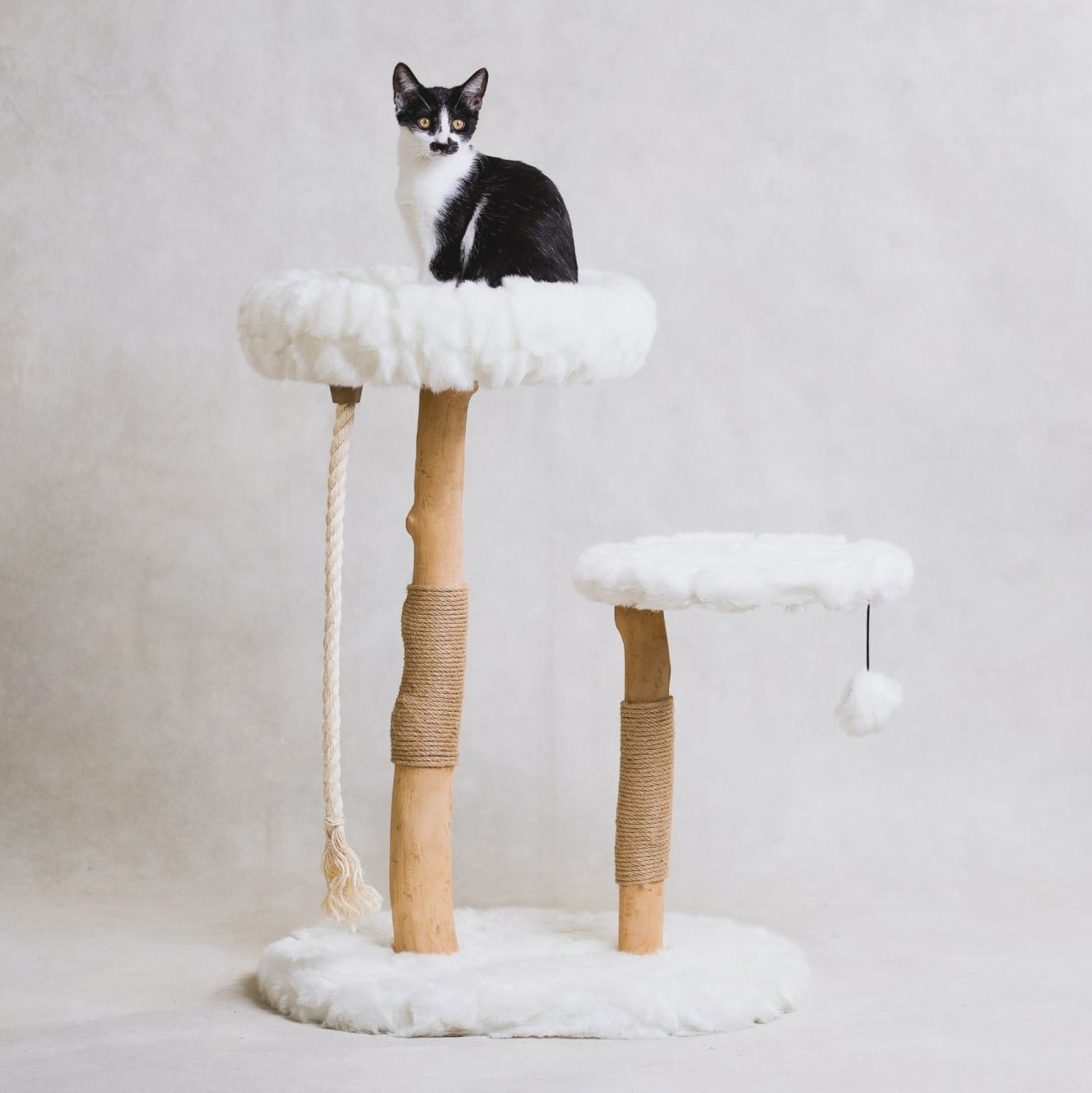 Arbre à chat en bois naturel avec lits superposés et griffoirs – Modèle Rizzo