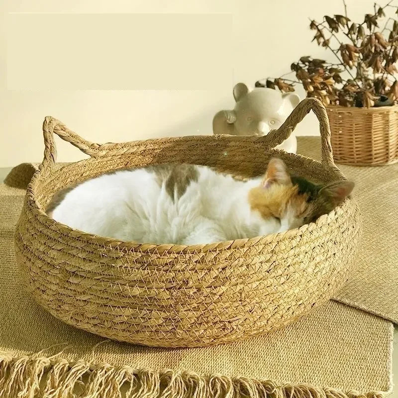 Panier tressé pour chat avec coussin amovible