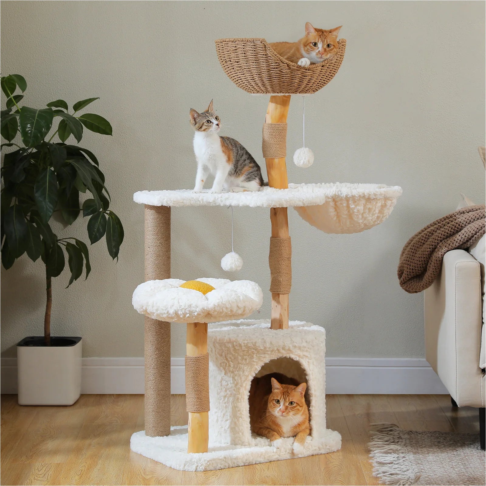 Arbre à chat design en bois naturel – Niche + hamac + panier rotin