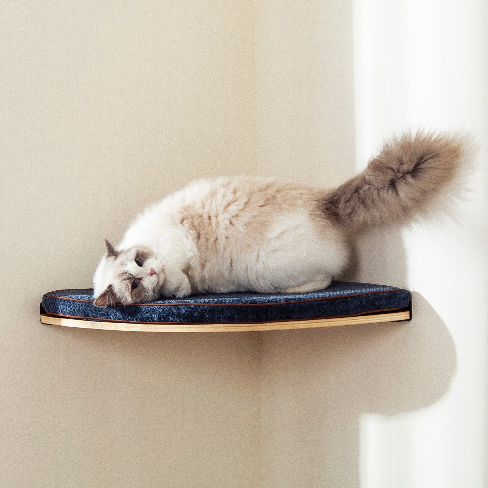 Étagère murale d’angle pour chat avec coussin amovible
