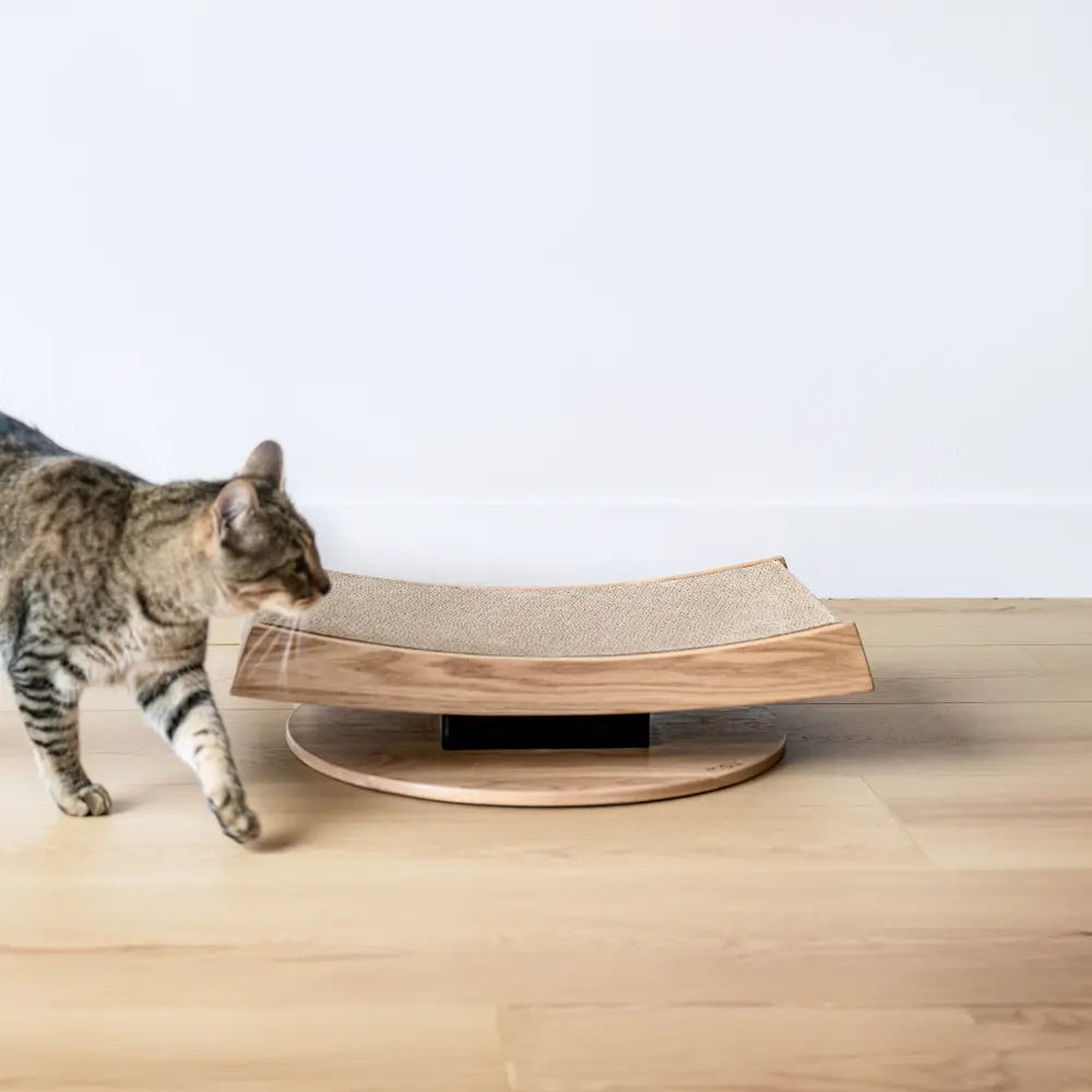 Recharges en carton pour griffoir – Lot de 2