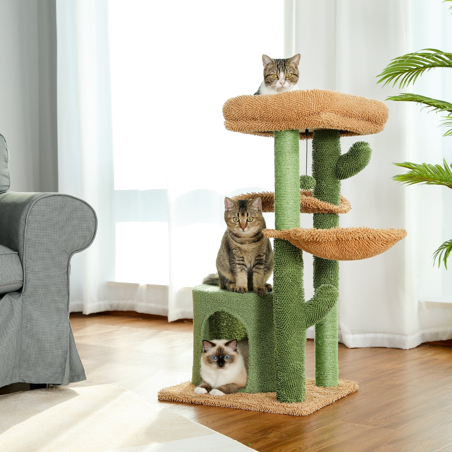 Arbre à chat en forme de cactus avec niche et plateformes – Modèle Cactus Home