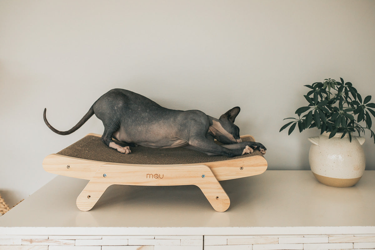 Griffoir pour chat avec cadre en bois ajustable et rechargeable – Modèle Emory